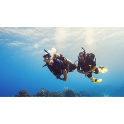 Padi Open Water Diver Referral